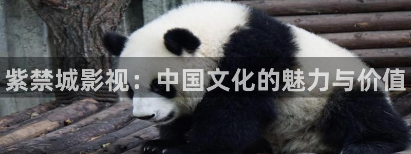 yy4480老地方影院