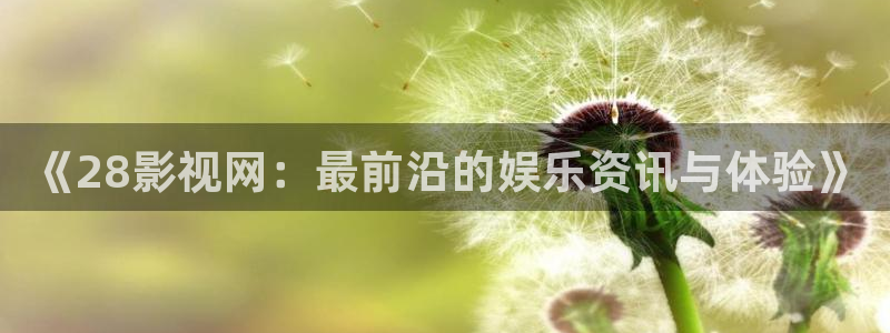 yy4480高清影院播放器