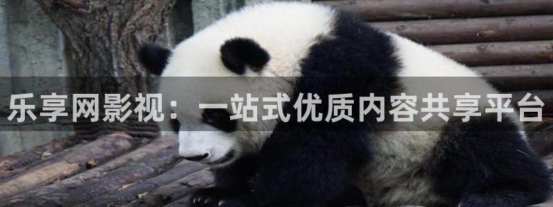 青苹果影院yy4480在线